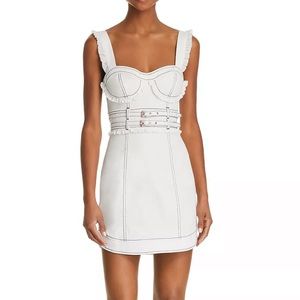 Daria Ruffle Denim Mini Dress